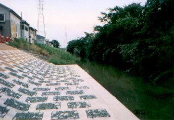 ���_�c��̒���