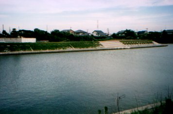 ���_�c��̉���