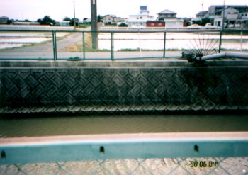 ����̉���