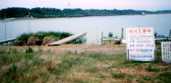 ���΂̗l�q