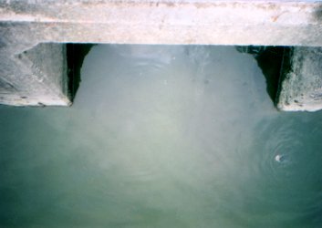 �V��Ɍ�����{��