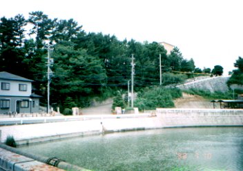 �V��̒���