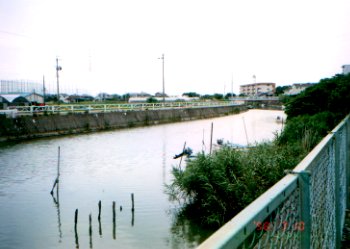 �V��̉���